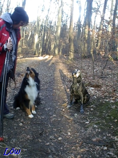 16.2.2024 - Assia und Mia sind auch unterwegs